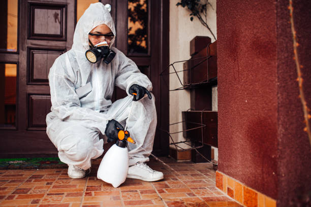 Reliable Ant Control contractor in Fort Collins, CO by Show Me Pest Control